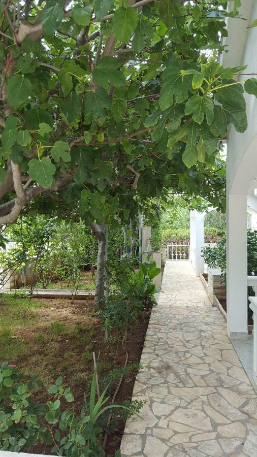 Apartments Marijeta Vir Εξωτερικό φωτογραφία