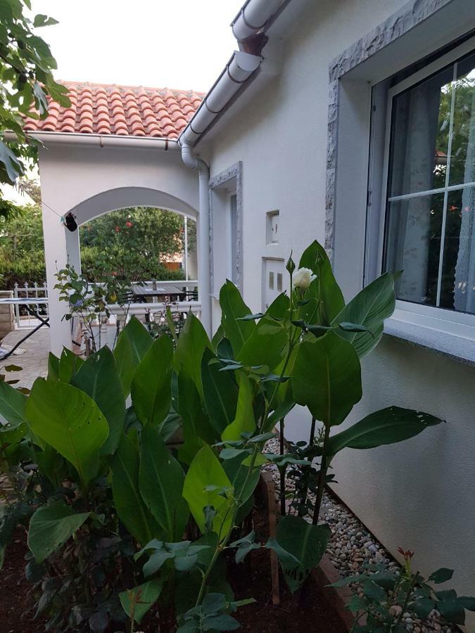 Apartments Marijeta Vir Εξωτερικό φωτογραφία
